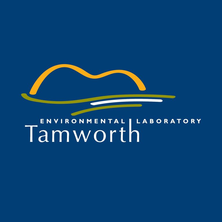 242486763_109668204805637_6398931585302399022_n