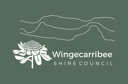 placeholder-article-image-website